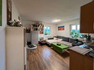 Ruhige Lage im Grünen: Singlewohnung mit Parkplatz ab September zu vermieten!, 454.5 €, Immobilien-Wohnungen in 4840 Vöcklabruck