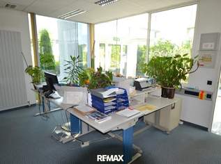 Modernes Betriebsobjekt zu mieten, 15400 €, Immobilien-Gewerbeobjekte in 1230 Liesing Modernes Betriebsobjekt zu mieten, 15400 €, Immobilien-Gewerbeobjekte in 1230 Liesing