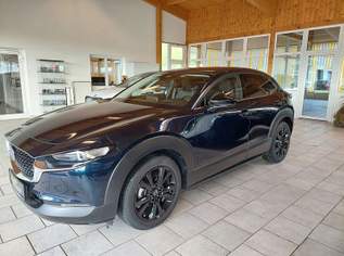 CX-30 e-Skyactive-X 186 AWD Homura Aut., 33900 €, Auto & Fahrrad-Autos in 4134 Putzleinsdorf