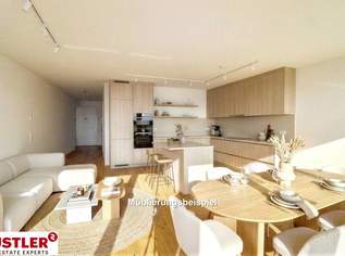 Zweizimmer Erstbezug mit schöner Aussicht - toller Sonnenuntergang, 342000 €, Immobilien-Wohnungen in 1100 Favoriten