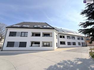 Clever wohnen im Grünen – Moderne Anleger- oder Singlewohnung im 22. Bezirk, 229000 €, Immobilien-Wohnungen in 1220 Donaustadt