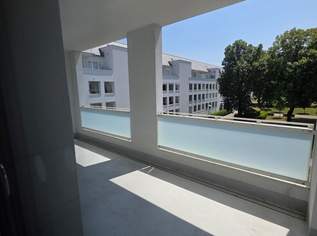 Wohnen mit viel Freiraum: 3 Zimmer, große Loggia -12,5 m² mit Lift in Linz/Bindermichl! AB SOFORT VEFÜGBAR!, 622.84 €, Immobilien-Wohnungen in Oberösterreich