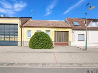 Ehemalige Gärtnerei mit 1.303 m² Grundfläche und vielfältigem Entwicklungspotenzial, 149000 €, Immobilien-Häuser in 2154 Gaubitsch
