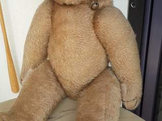 Ratz Vienna Teddy 1950 - 1960, 200 €, Marktplatz-Antiquitäten, Sammlerobjekte & Kunst in 2201 Gemeinde Gerasdorf bei Wien Ratz Vienna Teddy 1950 - 1960, 200 €, Marktplatz-Antiquitäten, Sammlerobjekte & Kunst in 2201 Gemeinde Gerasdorf bei Wien