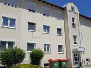 Darfs a bissl mehr sein? VIEL PLATZ für die GANZE FAMILIE im herrlichen Wilhelmsburg!, 149000 €, Immobilien-Wohnungen in 3150 Gemeinde Wilhelmsburg