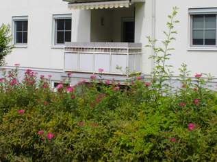Helle geräumige 5-Zimmer-Wohnung - nahe Puckingersee, 278000 €, Immobilien-Wohnungen in 4055 Pucking
