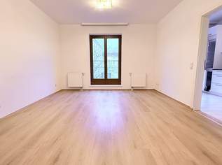 Lainzerstrase /Jagdschlossgasse, 1562 €, Immobilien-Wohnungen in 1130 Hietzing