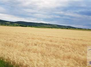 Hochwertiger Acker mit ca. 6 Hektar in sehr guter Lage!, 0 €, Immobilien-Grund und Boden in 4400 Steyr