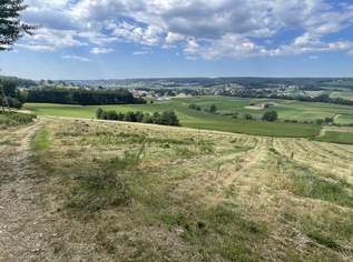 Bad Waltersdorf: Weinberge, Ackerflächen und Wald für experimentierfreudige Winzer oder Landwirte mit Vision, 698000 €, Immobilien-Grund und Boden in 8272 Bad Waltersdorf