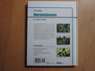 Harnischwelse - Dr. Jürgen Schmidt - Bede Verlag