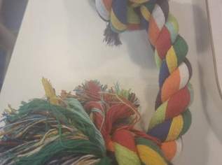 Hundespielzeug, 5 €, Marktplatz-Tiere & Tierbedarf in 1180 Währing Hundespielzeug, 5 €, Marktplatz-Tiere & Tierbedarf in 1180 Währing
