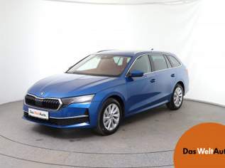 Octavia Selection TDI DSG, 39990 €, Auto & Fahrrad-Autos in 8792 St. Peter-Freienstein