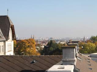 VILLA in 1180 sofort