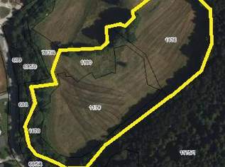 WIESEN Teil 4, 60000 €, Immobilien-Grund und Boden in 3233 Kilb WIESEN Teil 4, 60000 €, Immobilien-Grund und Boden in 3233 Kilb