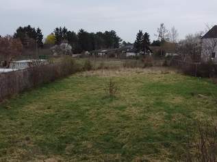 Ihr neues Baugrundstück - groß, eben, sonnig!, 335000 €, Immobilien-Grund und Boden in 2231 Strasshof an der Nordbahn
