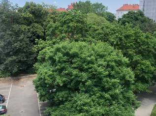 Zwischen Miete (eventuell) Zwischen Miete (eventuell)
