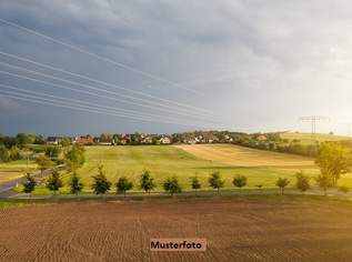 Landwirtschaftsflächen, 107000 €, Immobilien-Grund und Boden in 7142 Illmitz