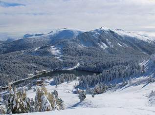 Ferienhaus im Zirbenwald - Turracher Höhe!, 940000 €, Immobilien-Häuser in Kärnten Ferienhaus im Zirbenwald - Turracher Höhe!, 940000 €, Immobilien-Häuser in Kärnten