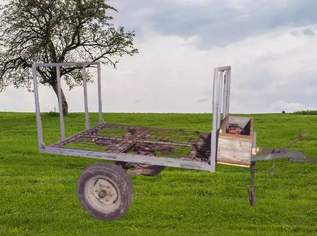 Ahänger Holzanhänger Transportwagen, 550 €, Auto & Fahrrad-Traktoren & Nutzfahrzeuge in 3620 Gemeinde Spitz