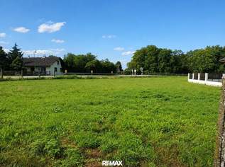 "761 m² traumhafter Eigengrund Nähe Tulln an der Donau", 130000 €, Immobilien-Grund und Boden in 3435 Pischelsdorf "761 m² traumhafter Eigengrund Nähe Tulln an der Donau", 130000 €, Immobilien-Grund und Boden in 3435 Pischelsdorf