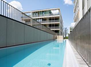 Bezugsfertig - TASSILO VILLEN - Wohnen wie im Urlaub I HAUS C I TOP - C21, 346815 €, Immobilien-Wohnungen in 4540 Bad Hall