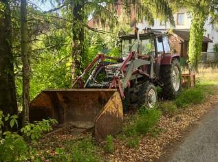 Steyr 70a Allrad mit Frontlader und Palettengabel, 6500 €, Auto & Fahrrad-Traktoren & Nutzfahrzeuge in 2191 Gemeinde Gaweinstal