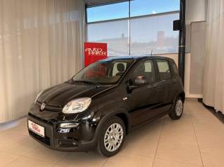 Panda Base, 14200 €, Auto & Fahrrad-Autos in Steiermark