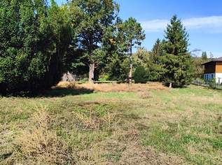 Traumhafter Baugrund am Fuße des Bisambergs, 950000 €, Immobilien-Grund und Boden in 2103 Langenzersdorf Traumhafter Baugrund am Fuße des Bisambergs, 950000 €, Immobilien-Grund und Boden in 2103 Langenzersdorf