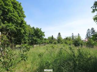Baugrundstück - 2 Parzellen !, 135000 €, Immobilien-Grund und Boden in 2294 Breitensee Baugrundstück - 2 Parzellen !, 135000 €, Immobilien-Grund und Boden in 2294 Breitensee