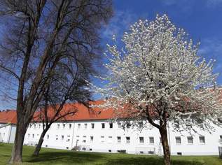 Freundliche 3-Zimmer-Wohnung in grüner Stadtrandlage von Steyr-Münichholz – hell, modern und ideal für entspanntes Wohnen mit Komfort und Charme nach umfassender Sanierung!, 491.04 €, Immobilien-Wohnungen in 4400 Steyr