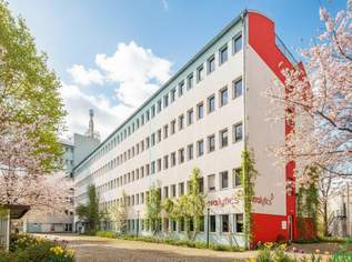 Attraktive Büro- / Praxisfläche in 1210 Wien – 286,72 m² für nur 7,00 €/m²!, 10.83 €, Immobilien-Gewerbeobjekte in 1210 Floridsdorf