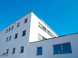 Attraktive großzügige Büroetage in zentraler Salzburger Stadtlage, 3622.5 €, Immobilien-Gewerbeobjekte in 5020 Salzburg