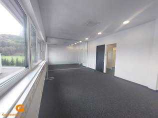 Salzburg Grödig - Stylisches Büro mit Top-Ausstattung mieten, 4890 €, Immobilien-Gewerbeobjekte in 5082 Grödig