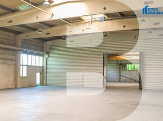 1.170m² Halle mit erstklassiger Verkehrsanbindung, 0 €, Immobilien-Gewerbeobjekte in 4055 Pucking