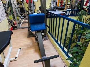 WADENPRESSE SITZEND gym 80 Waden Maschine , SEATED CALF PRESS. Beinpresse, 990 €, Marktplatz-Sportgeräte & Zubehör in 7071 Rust