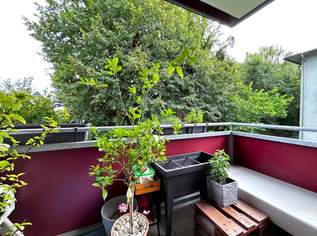 Pasching (Westzeile): 2-Zimmer Mietwohnung mit ca. 48,53 m² + BALKON, 659.99 €, Immobilien-Wohnungen in 4061 Pasching Pasching (Westzeile): 2-Zimmer Mietwohnung mit ca. 48,53 m² + BALKON, 659.99 €, Immobilien-Wohnungen in 4061 Pasching
