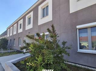 Breitenleer Gärten - Single-Pärchen-Hit Gartenwohnung, 290000 €, Immobilien-Wohnungen in 1220 Donaustadt