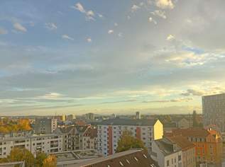 Panorama-Wohnung in Graz, renoviert (Provisionsfrei), 165000 €, Immobilien-Wohnungen in 8020 