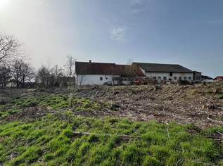 Sonniger Bauernhof in Randlage der Stadt Güssing, 295000 €, Immobilien-Häuser in 7540 Gemeinde Güssing