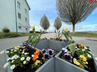 Zentrumsnaher KFZ-Abstellplatz in Prambachkirchen zu verkaufen!, 4500 €, Immobilien-Kleinobjekte & WGs in 4731 Prambachkirchen Zentrumsnaher KFZ-Abstellplatz in Prambachkirchen zu verkaufen!, 4500 €, Immobilien-Kleinobjekte & WGs in 4731 Prambachkirchen