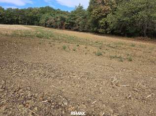 Landwirtschaftliche Grundstücke in Neuberg, 12000 €, Immobilien-Grund und Boden in 7537 Neuberg im Burgenland