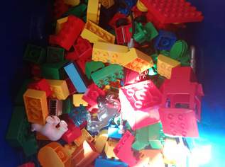 Duplo Kiste mit Inhalt 