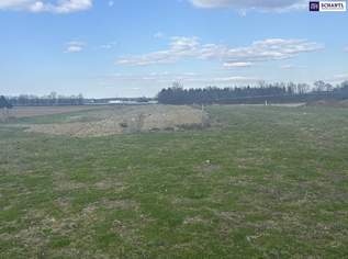 ++ LAGE, LAGE ++ GEWERBEGRUNDSTÜCK an der A9 AUTOBAHNABFAHRT bzw. -AUFFAHRT ST. VEIT VOGAU ++ TEILUNG MÖGLICH ++ BD KG 0,2 - 1,0, 1900000 €, Immobilien-Gewerbeobjekte in 8472 Vogau