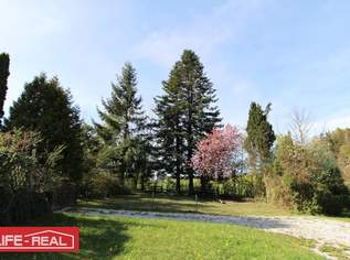 Seltenheit - Grundstück am Mattsee, kein Bauland, 199000 €, Immobilien-Grund und Boden in 5163 Mattsee Seltenheit - Grundstück am Mattsee, kein Bauland, 199000 €, Immobilien-Grund und Boden in 5163 Mattsee