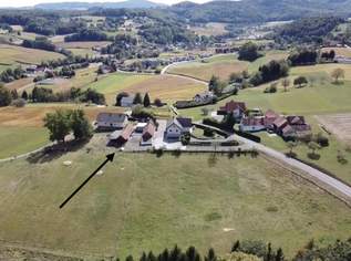 Rarität! Bauernhof in der steirischen Toskana mit ca. 2,7 ha eingezäunter Weide!, 499000 €, Immobilien-Häuser in 8330 Feldbach