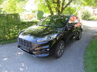 Kuga ST-Line X Hybrid, 23350 €, Auto & Fahrrad-Autos in 4723 Natternbach