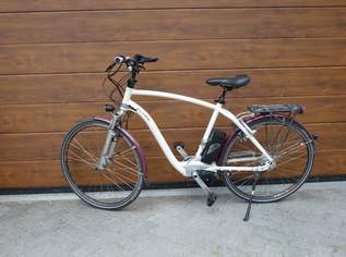 E-Bike Flayer T14HS Rohloff Schaltung, 1500 €, Auto & Fahrrad-Fahrräder in 4407 Dietach