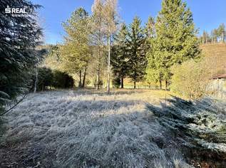 Grundstück in Gaupmannsgraben/ Ramsau (Land- Forstwirtschaft), 19900 €, Immobilien-Grund und Boden in 3172 Gaupmannsgraben Grundstück in Gaupmannsgraben/ Ramsau (Land- Forstwirtschaft), 19900 €, Immobilien-Grund und Boden in 3172 Gaupmannsgraben