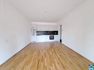 Moderne Innenstadtwohnung beim zentralen Stadtteil Gries, 535.6 €, Immobilien-Wohnungen in 8020 Moderne Innenstadtwohnung beim zentralen Stadtteil Gries, 535.6 €, Immobilien-Wohnungen in 8020
