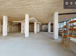 + + + ca. 300, ca. 500 oder ca. 800 m² Geschäftsflächen + + + SEHR GUTE SICHTBARKEIT + + +, 11697.83 €, Immobilien-Gewerbeobjekte in 1210 Floridsdorf